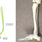 三陰交のツボ