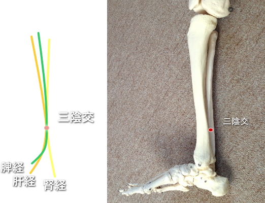 三陰交のツボ