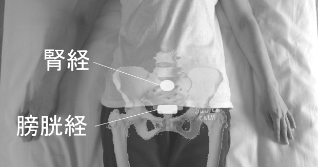 お腹の経絡のストレッチ