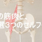 腰の筋肉のセルフケア