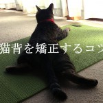 猫背を矯正するコツと注意点