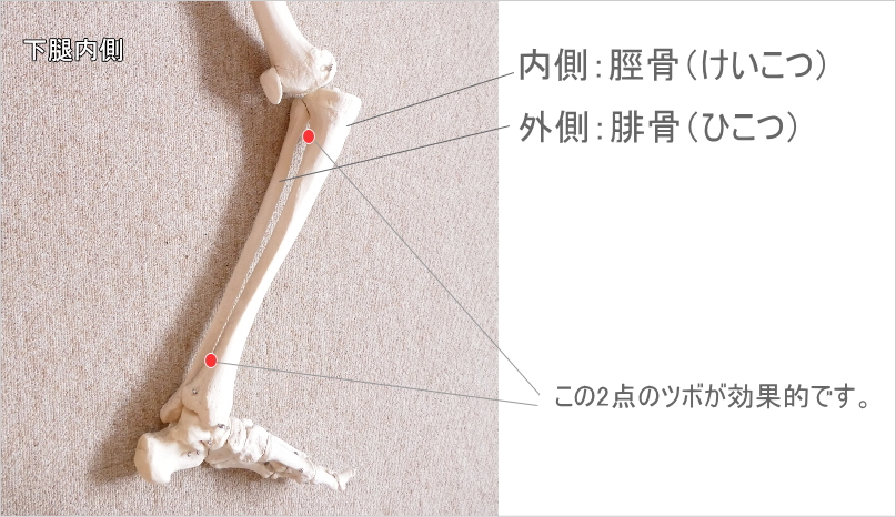 ふくらはぎのツボ