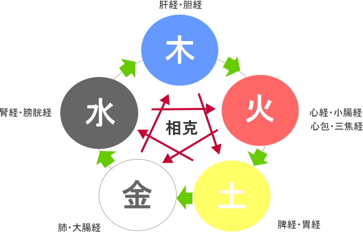 五臓六腑と三陰交