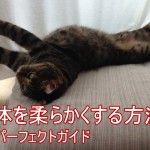 体を柔らかくする方法