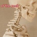 首の骨