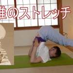 頸椎のストレッチ