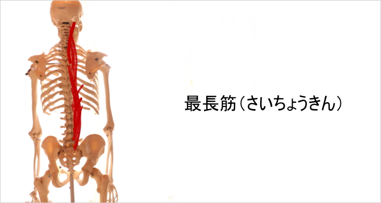 最長筋ストレッチ