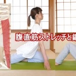 腹直筋ストレッチと鍛え方