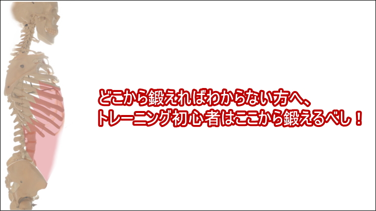 トレーニング初心者